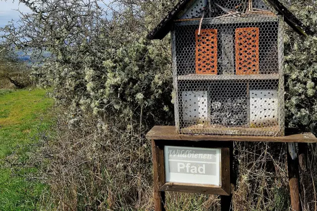 Wildbienenpfad an der Nahe für mehr Biodiversität. 