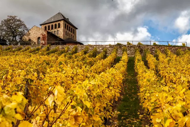 Schloss Johannisberg, Basilika
