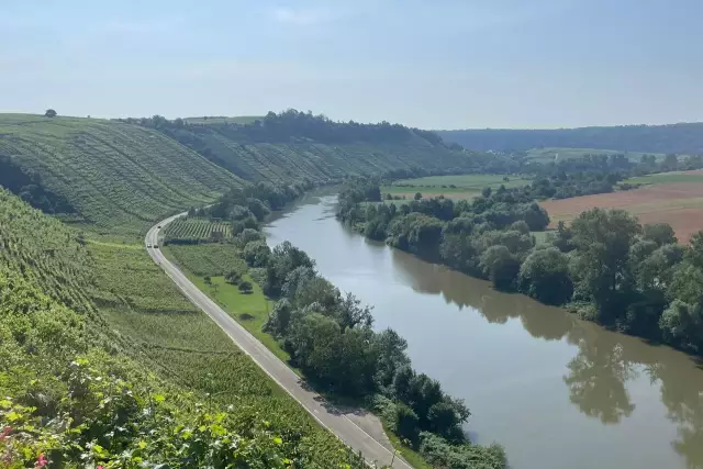 Weinbau betreiben die Weingärtner entlang des Neckars, aber auch in den geschützten Flusstälern der Neckar-Nebenflüsse Rems, Enz, Kocher, Jagst und Tauber und sogar am Bodensee.