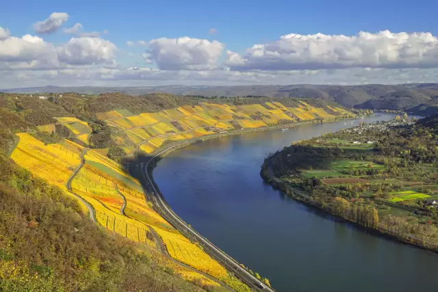 Mittelrhein: Bopparder Hamm im Herbst