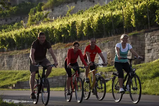 Freizeitvergnügen: Mit dem Rad durch die Weinregionen