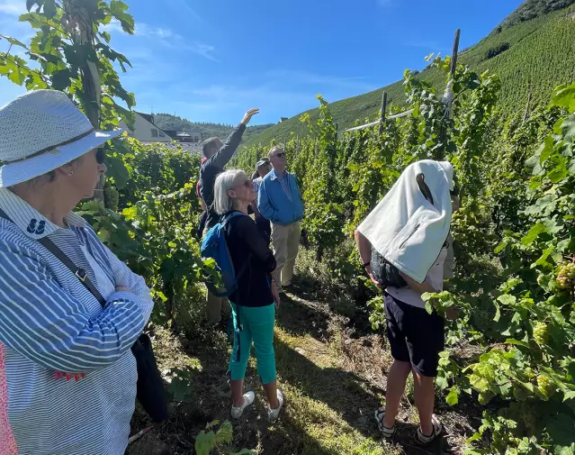 Spaziergang durch die Weinlagen.