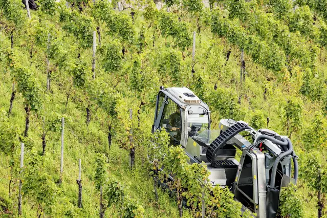 Steep slope harvest machine, Mosel, Germany. October 2017.