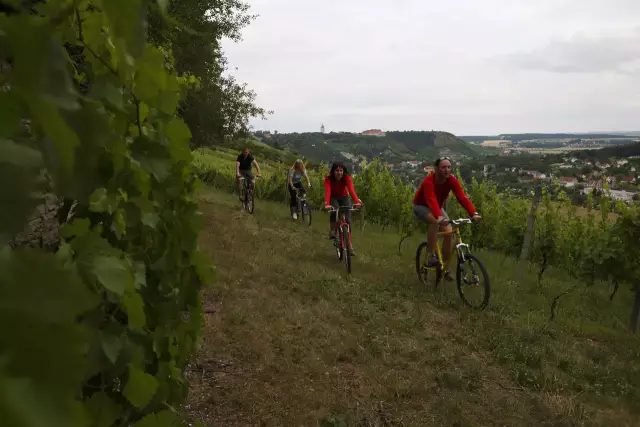 Toursimus in den deutschen Anbaugebieten