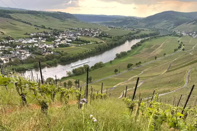 Auf dem Programm der Sommelier Class 2023 standen die Weinregionen Rheinhessen, Pfalz, Nahe und Mosel.