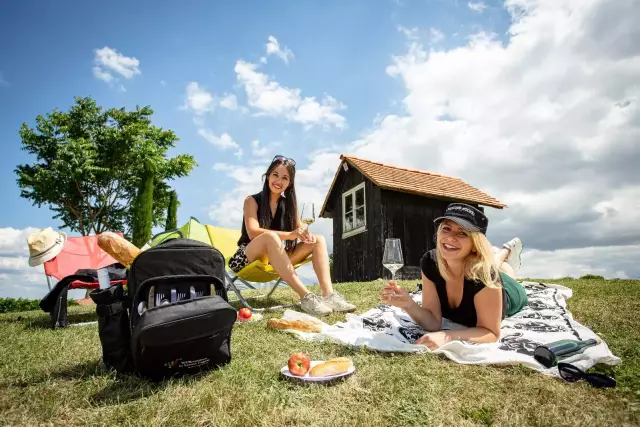 Zahlreiche Camping- und Stellplätze in romantischen Weindörfern, direkt beim Winzer oder inmitten idyllischer Weinberge warten auf Urlauber.