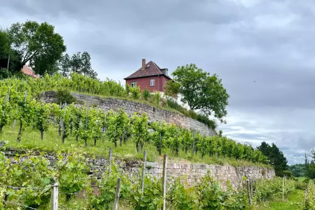 Malerische Landschaft Saale-Unstrut.