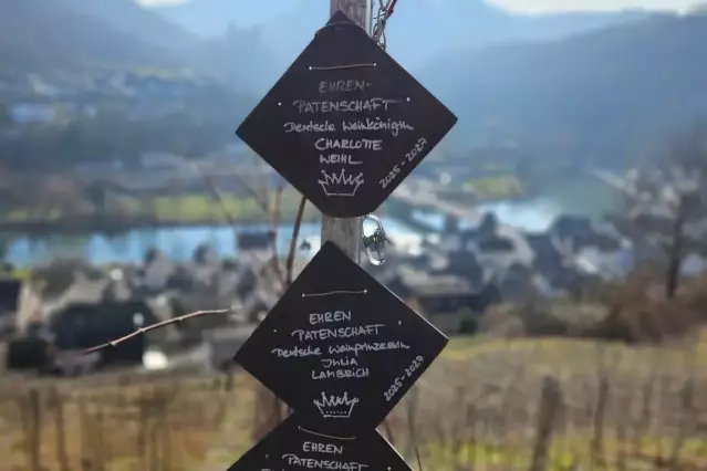 Ehrenpatenschaften deutscher Weinhoheiten in malerischer Weinbergskulisse.