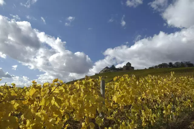 Schloss Johannisberg im Rheingau