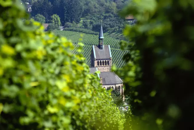 Weinberge bei Waldulm / Baden